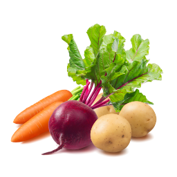 Vegetable