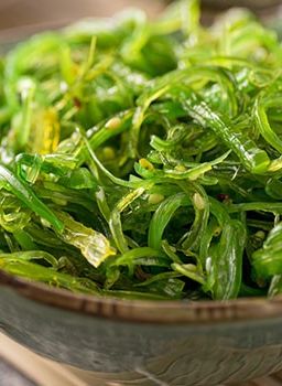 Seaweed